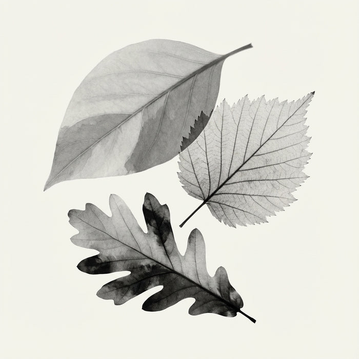 Poster print file