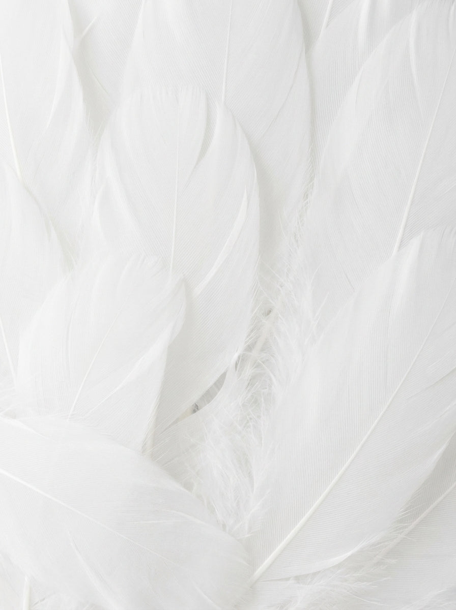 Poster print file