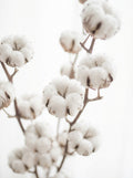 Poster print file