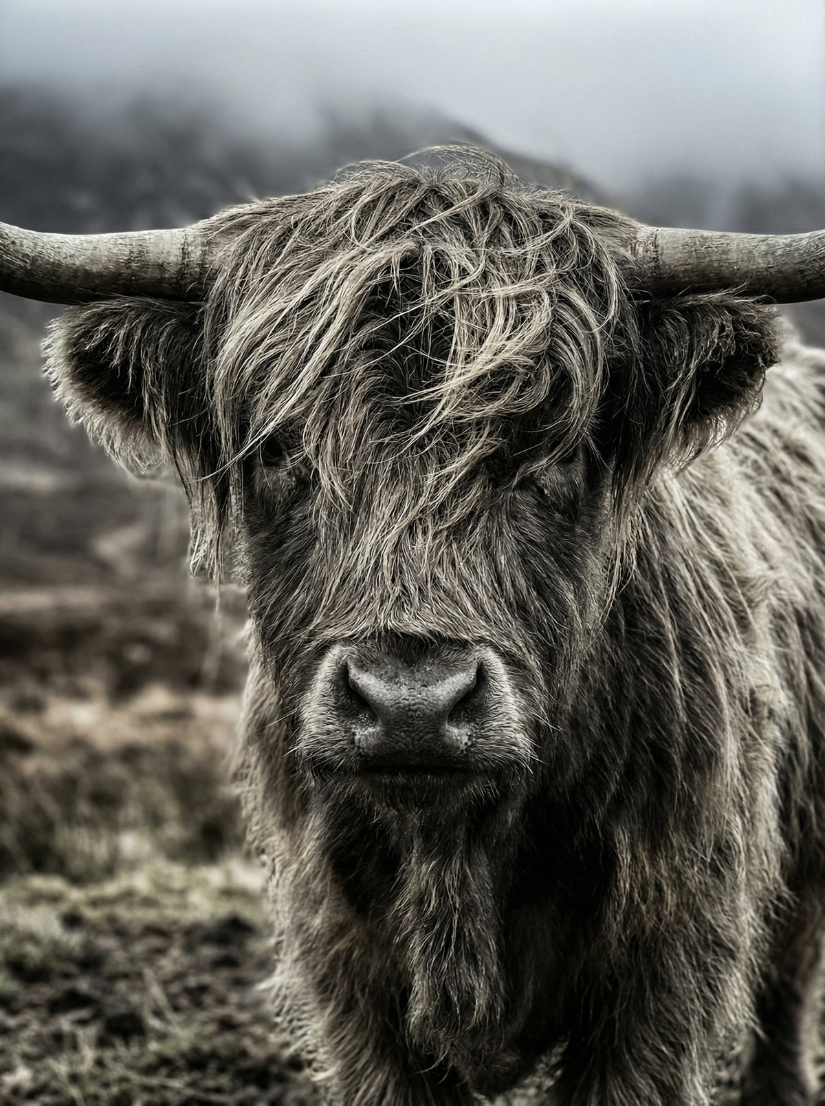 Poster in black frame