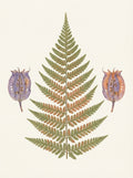 Poster print file