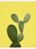 Poster print